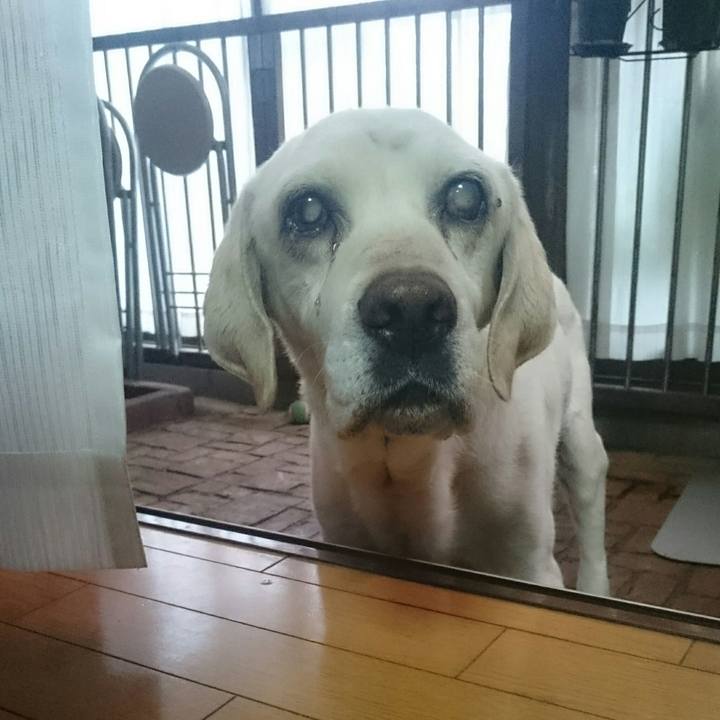 Ed289020 6682 4c79 a877 778160b7866a