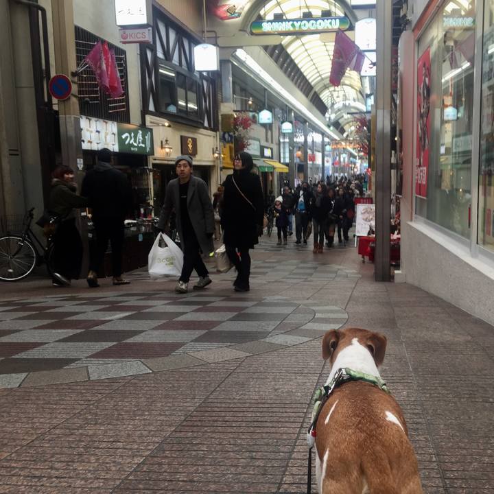 Ed28fa14 feec 466c a760 8f973ae57c17