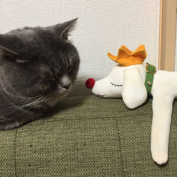 Ed2a03d2 8c84 4b98 b9b8 d9a4e7a5df2b