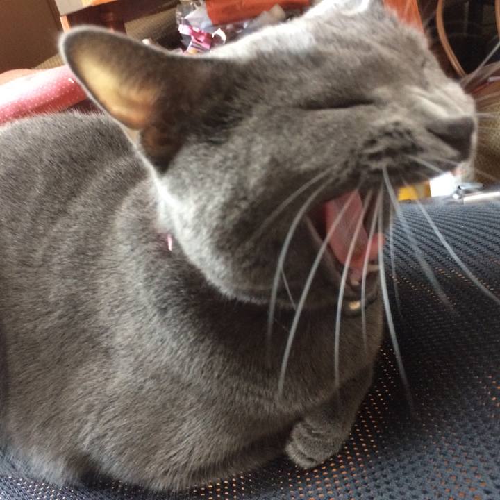 Ed2aa1ec b3b3 4056 ad66 c8d1621cb1d7