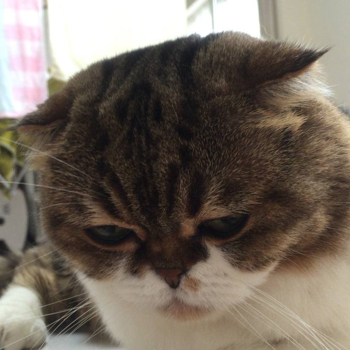 Ed2aab37 5acc 44c6 8fe6 02ca60dce4ee