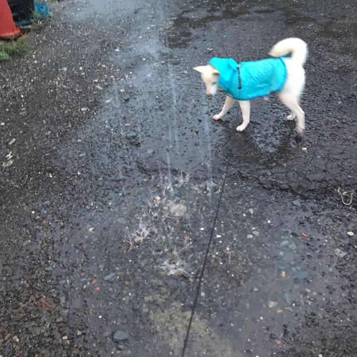 Ed2ac782 0540 4a20 bee4 22dfc907c969