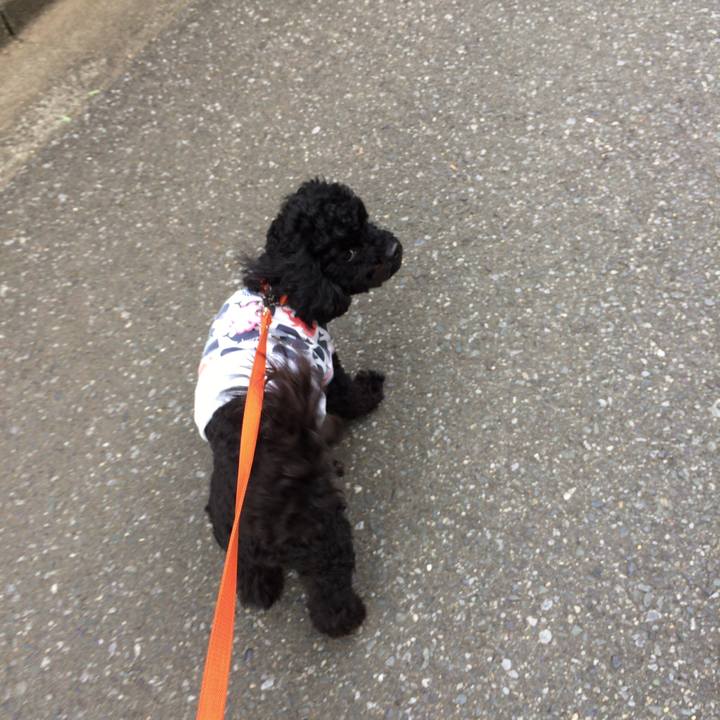 Ed2ae7aa 8d1e 4073 9880 dfa8bbcdc978