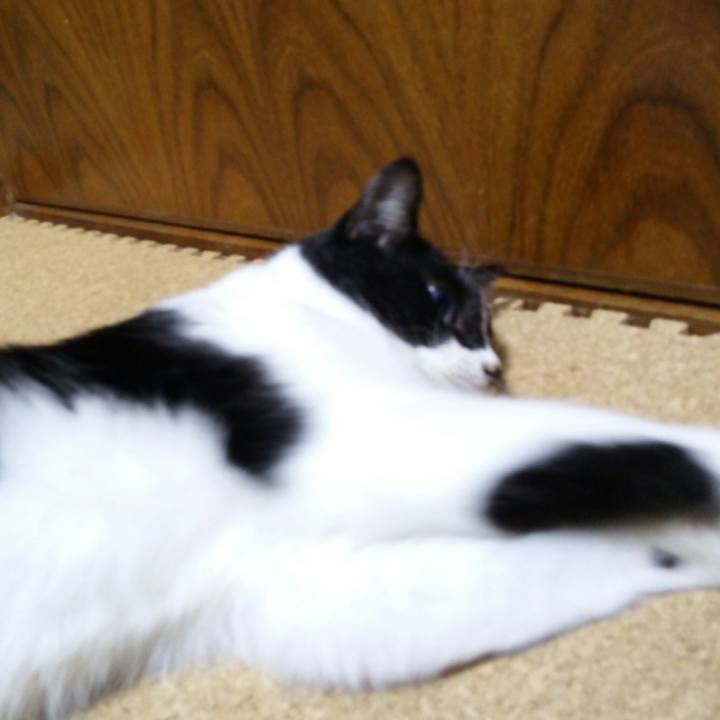 Ed2afca7 6c15 4804 b936 93b0858792b0