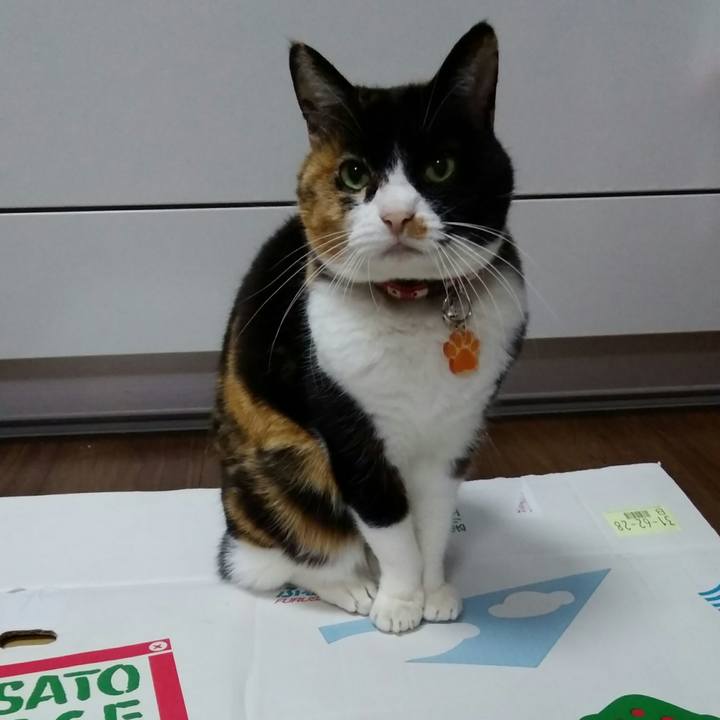 Ed2c4e23 99d1 4df8 a287 a10e6c706600