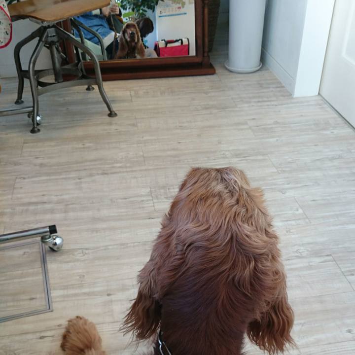 Ed2ca3a6 6ffa 44d8 89e9 b58bf46b5038