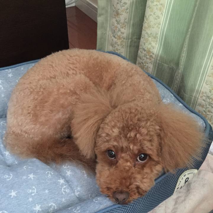 Ed2d3065 bdc0 451f 83b2 03eafcdf8153