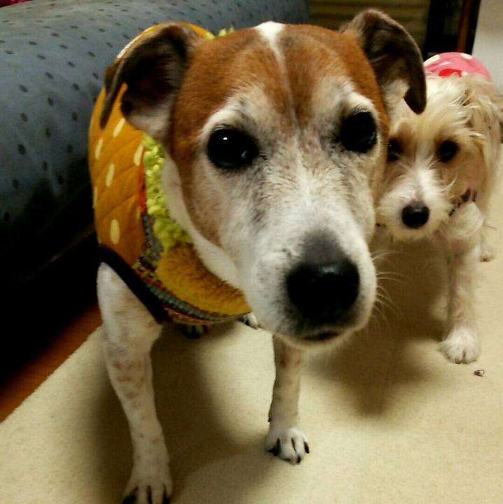 Ed2e3717 92b4 473a aa99 9ad082b10206