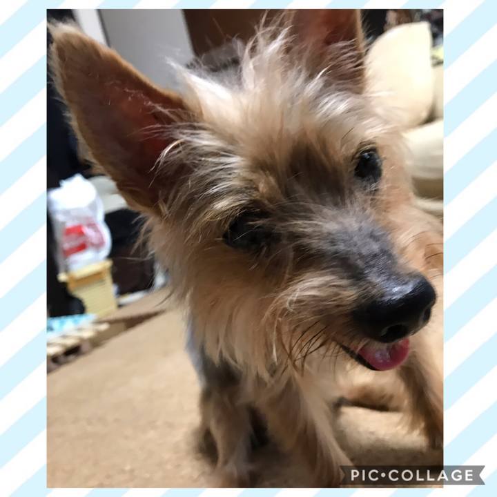 Ed2ee41b da97 4899 9a1e 336a23eff0b0