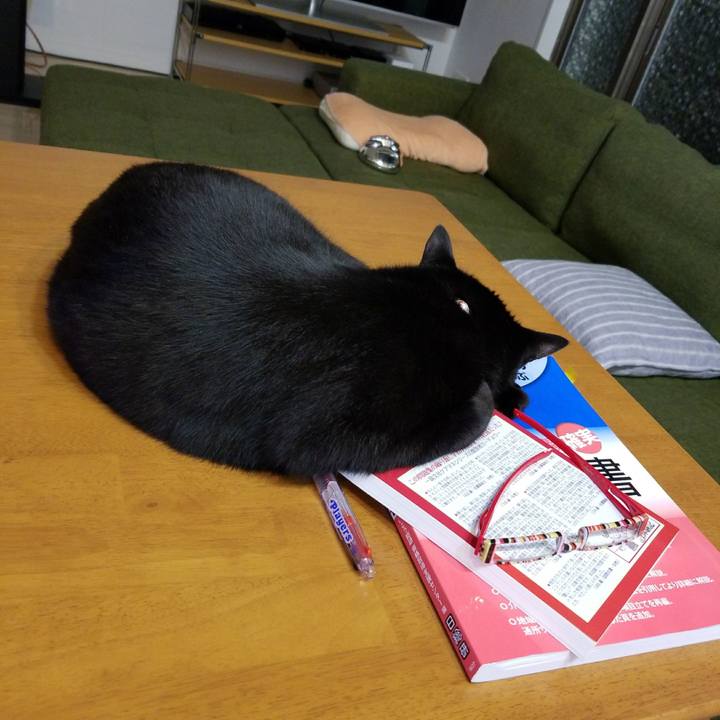 Ed2f21cc f234 4ba6 9d53 2153ad1cb32b