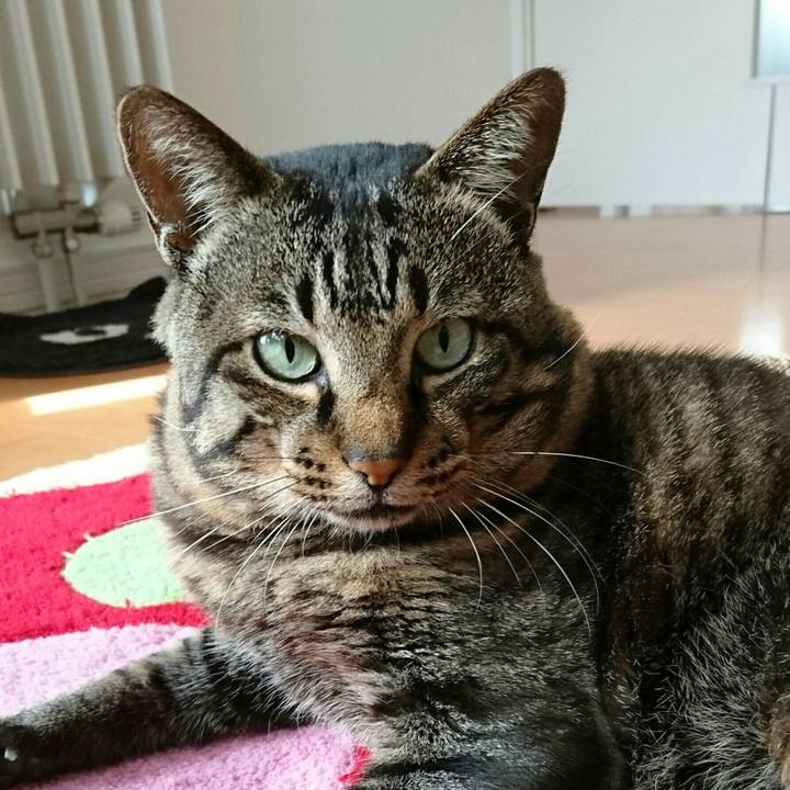 Ed30caf1 49bf 407e b20a 4e25f73345d6