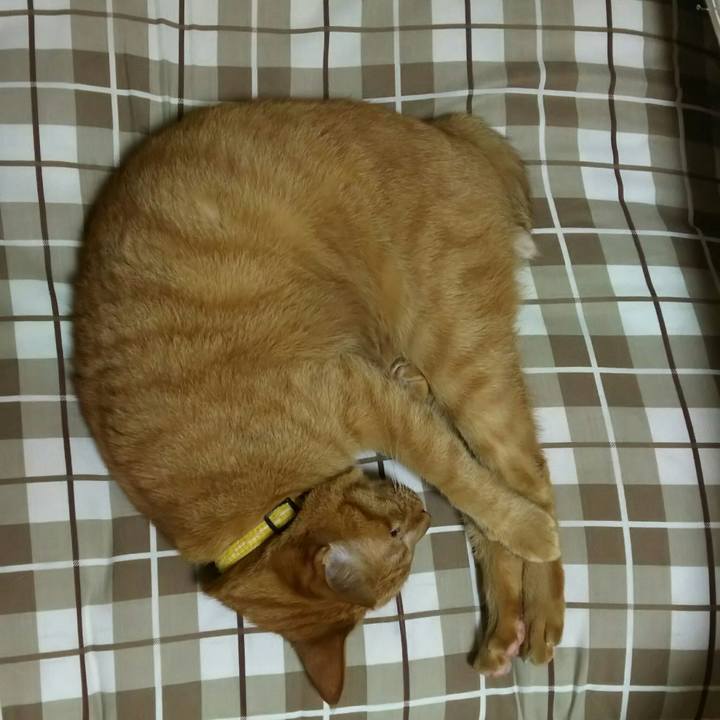 Ed31056b b3fc 4dc6 bdc7 bc041d4eb0b8