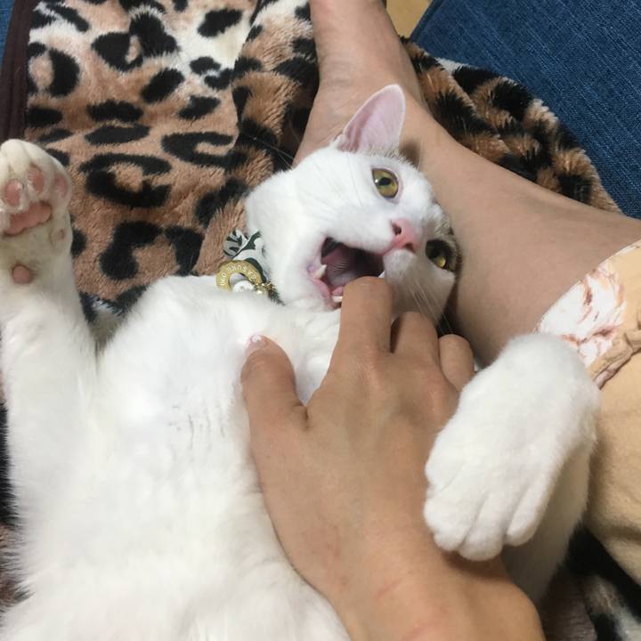 Ed31b902 ee28 4cf4 b042 2cfa85109f6e