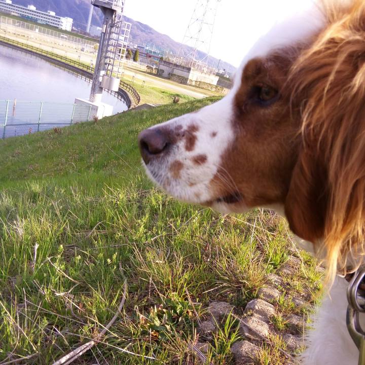 Ed3255f5 9995 4fe7 9825 9e54059e3e96