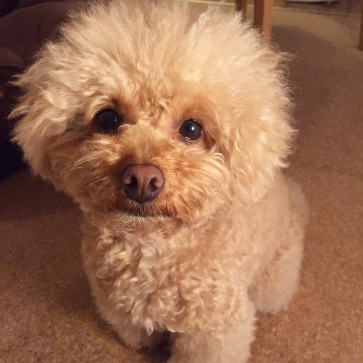 Ed32cc6a de2f 468c a63c 800d0be5e75b