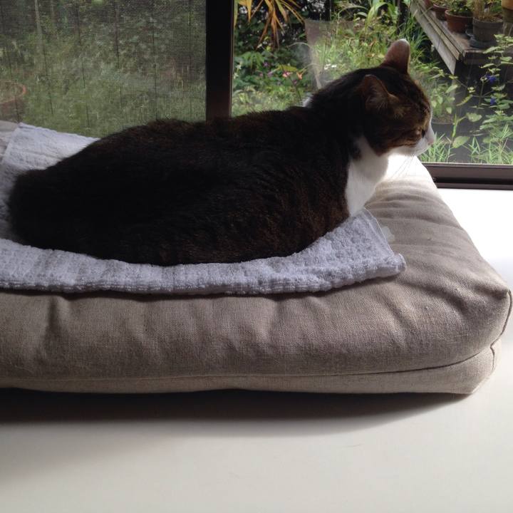 Ed332bbd 5149 4c4b 9f17 a1a20566b9ae