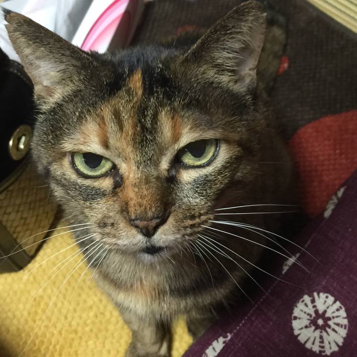 Ed334adb 2a57 4b04 9ae4 733419369410