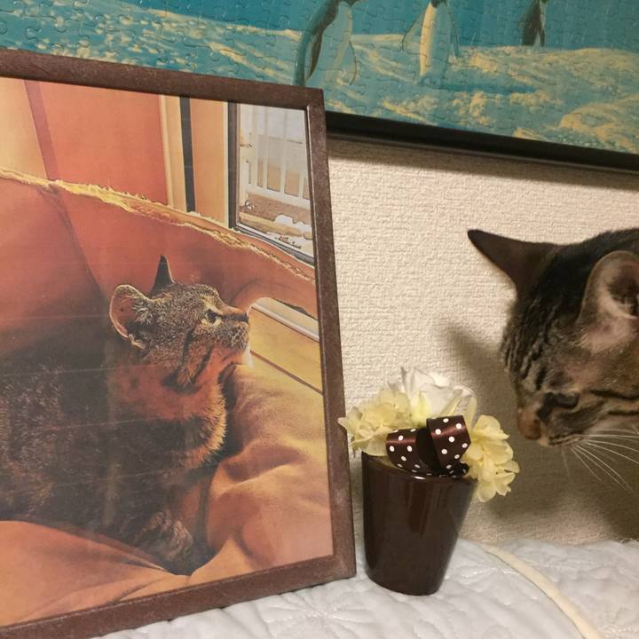 Ed342975 36df 4b44 b3b2 d1f302ba84d3