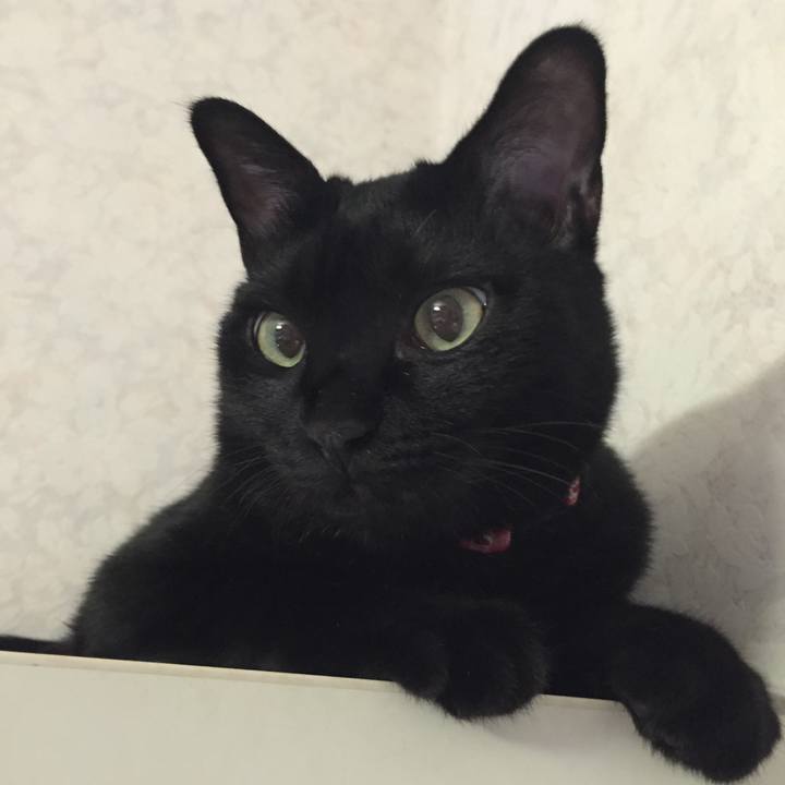 Ed343df7 dba9 4152 a9dd 83d0ccdd3661