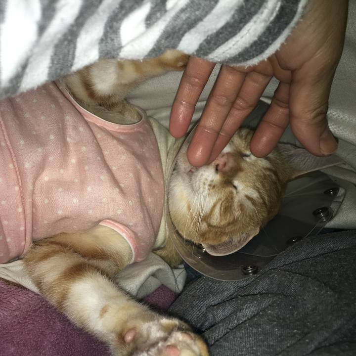 Ed3482da 1574 480c 9422 aaf29d745a25