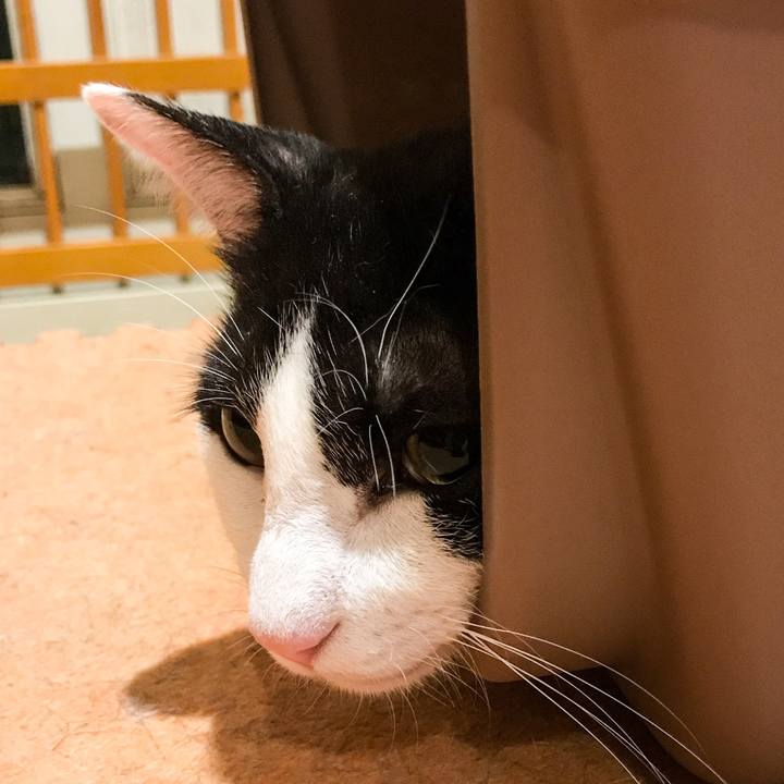 Ed34cc9f 5bb1 45fa bff7 11b743f18a69