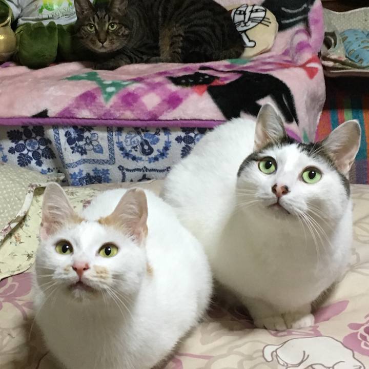 Ed353241 6d14 4fd8 9f5b d9a45949d261