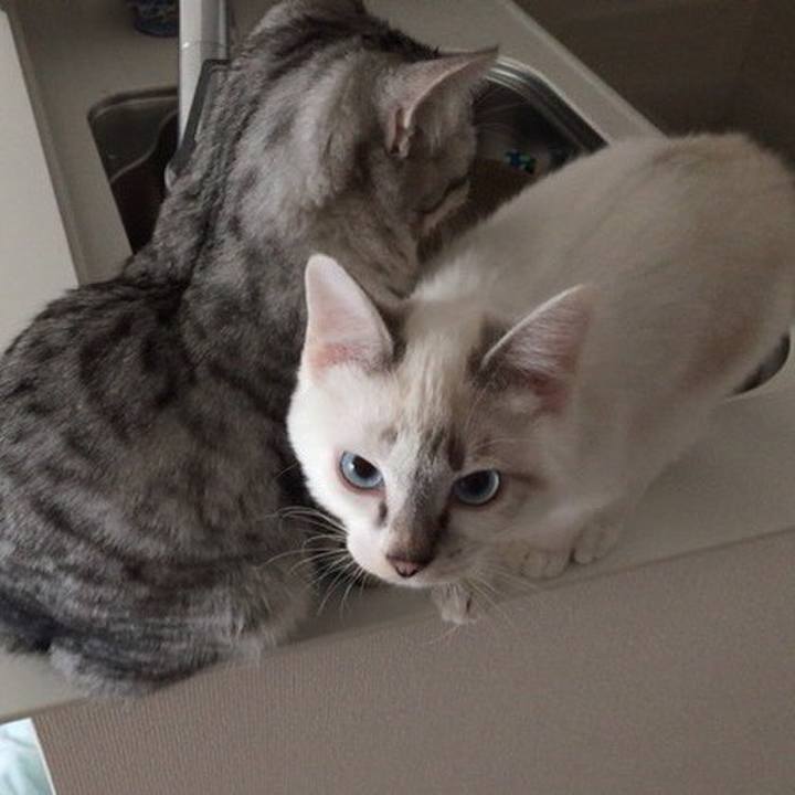 Ed358d5d 43ce 4b53 8069 4a9fd0f7fbde