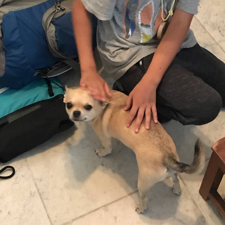 Ed35f543 c1f6 4759 9f95 b17e5a69ca9e