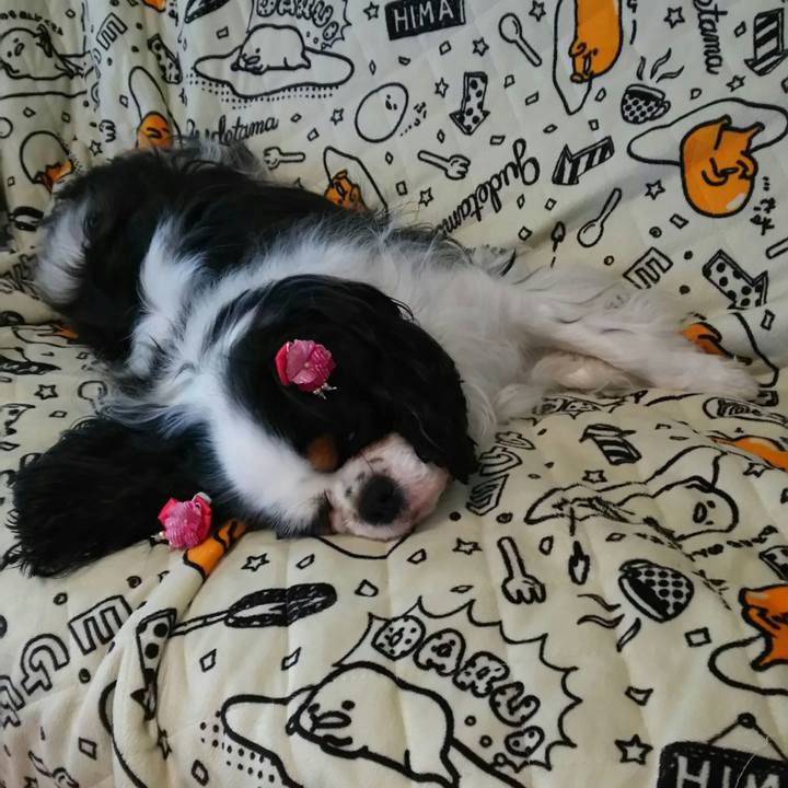 Ed362fbc 860a 414b b214 84f79de72260