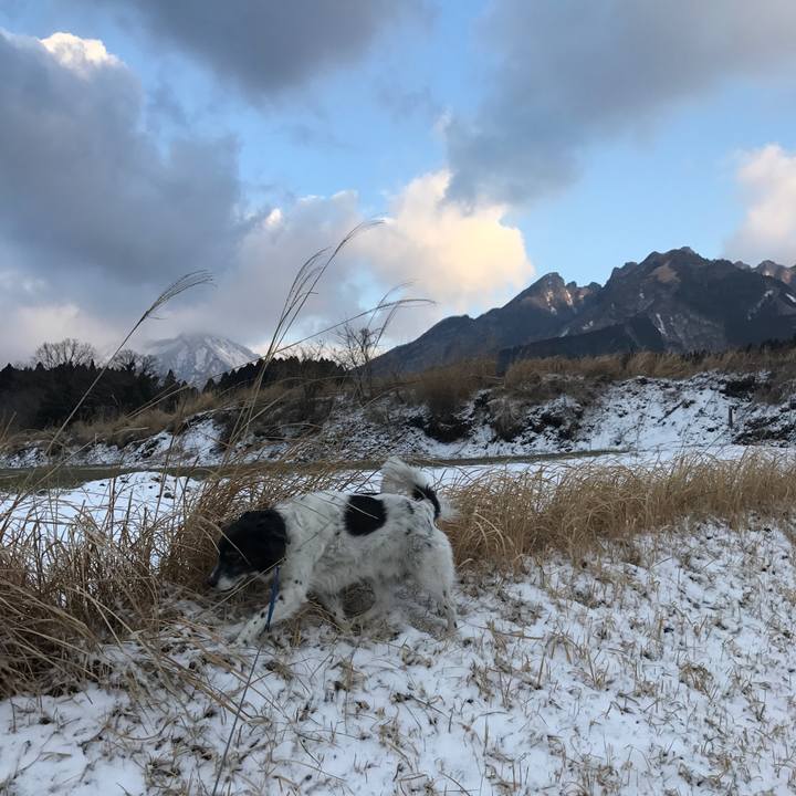 Ed364b6d 578c 4ec5 8da6 abbdf8d7b374