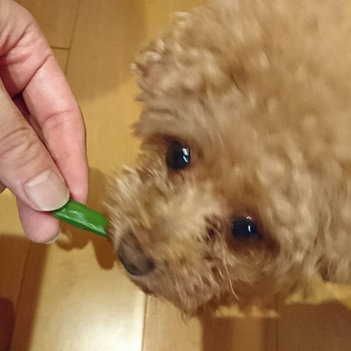 Ed37b874 f67b 4e9b 8075 37af1c65053a