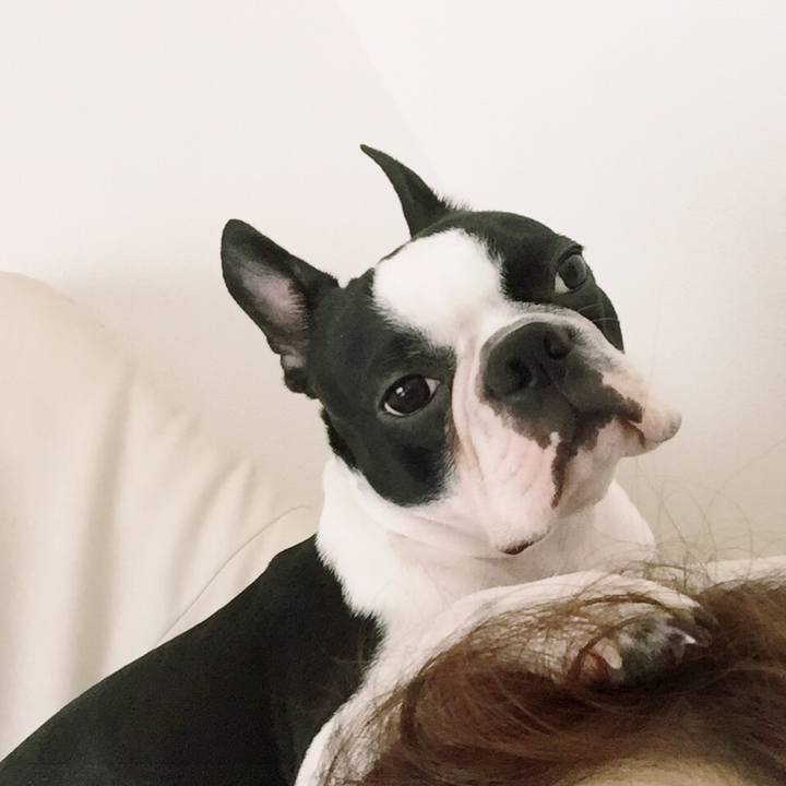 Ed37c23b 3d9b 461f a33c 8708085101e7