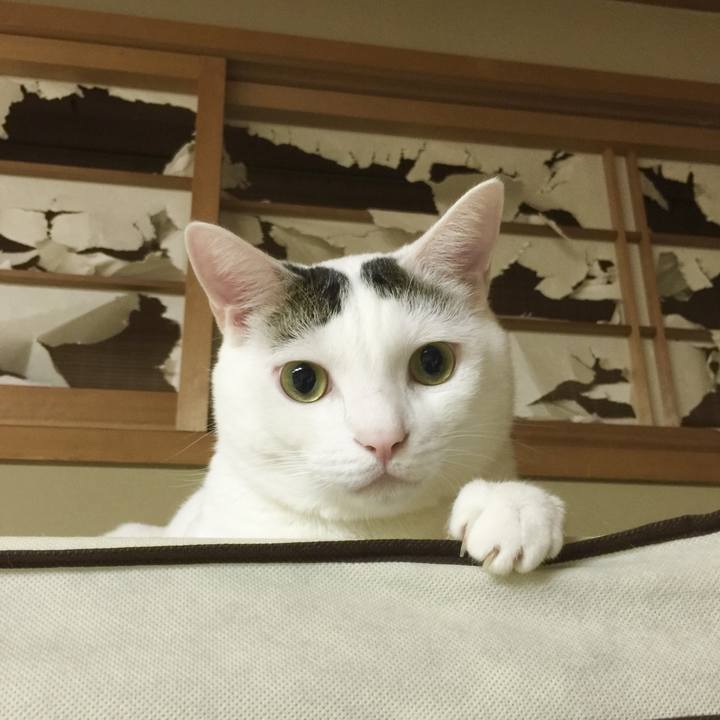 Ed3812df 1ddd 458d 9905 56023110ca01