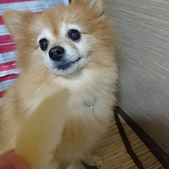 Ed386845 010c 4d9f 93b2 18b973e659cf