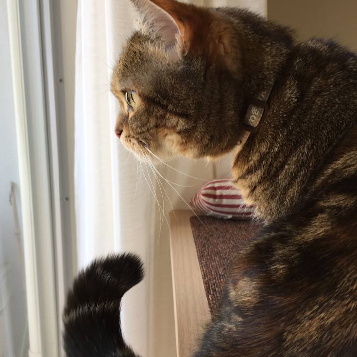 Ed38c5bf 7043 4b66 a202 60a972bdd48a