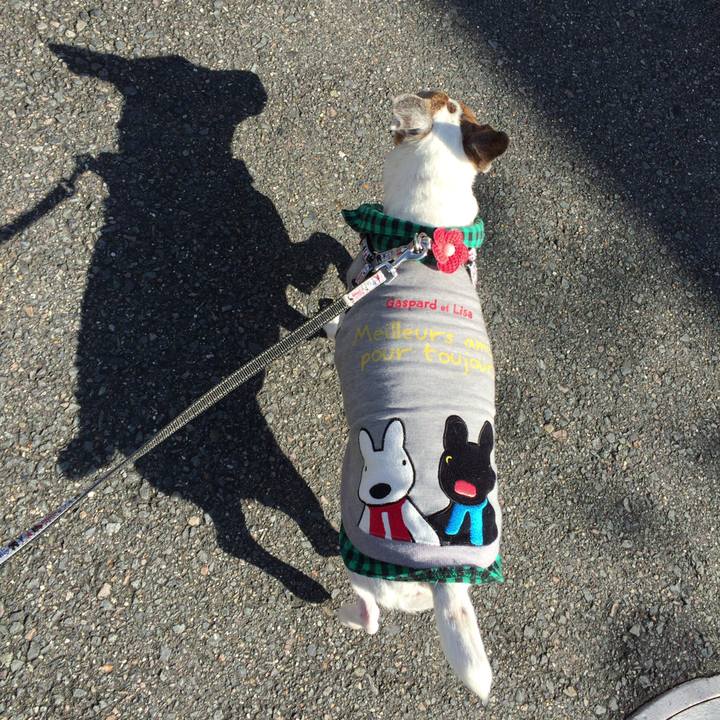 Ed395b82 aa8e 426a a293 607f5c16047b