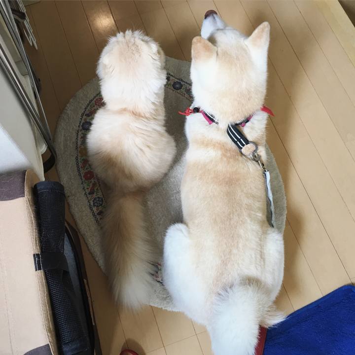 Ed39709d f174 40a4 af8d 6122a9408896