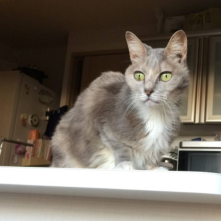 Ed3a0f15 4870 4140 a408 ef049fa32829