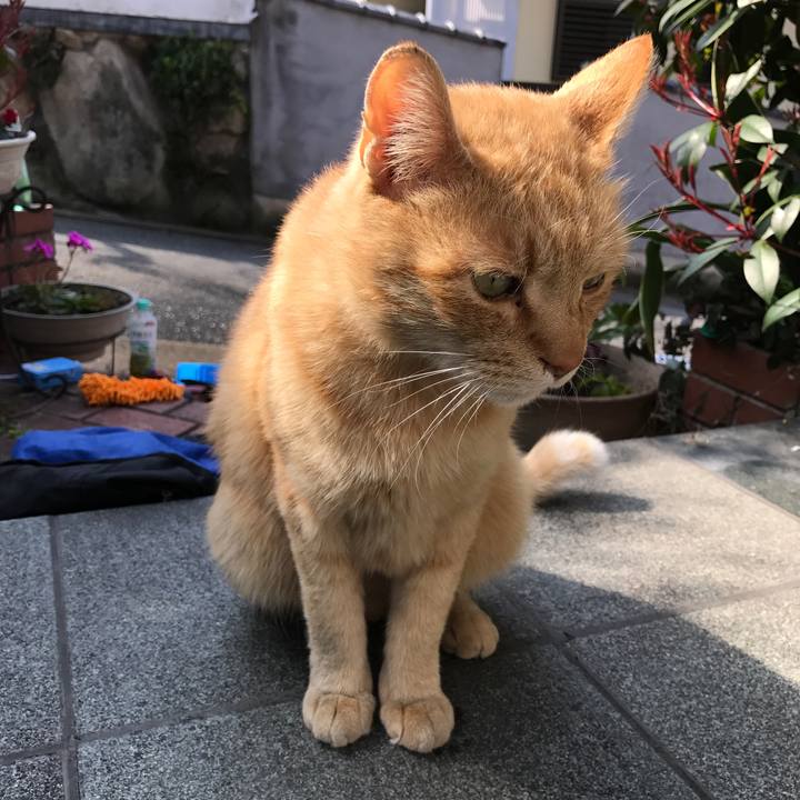 Ed3a6e7d bdcd 40b0 8d09 48e7463eb5fc