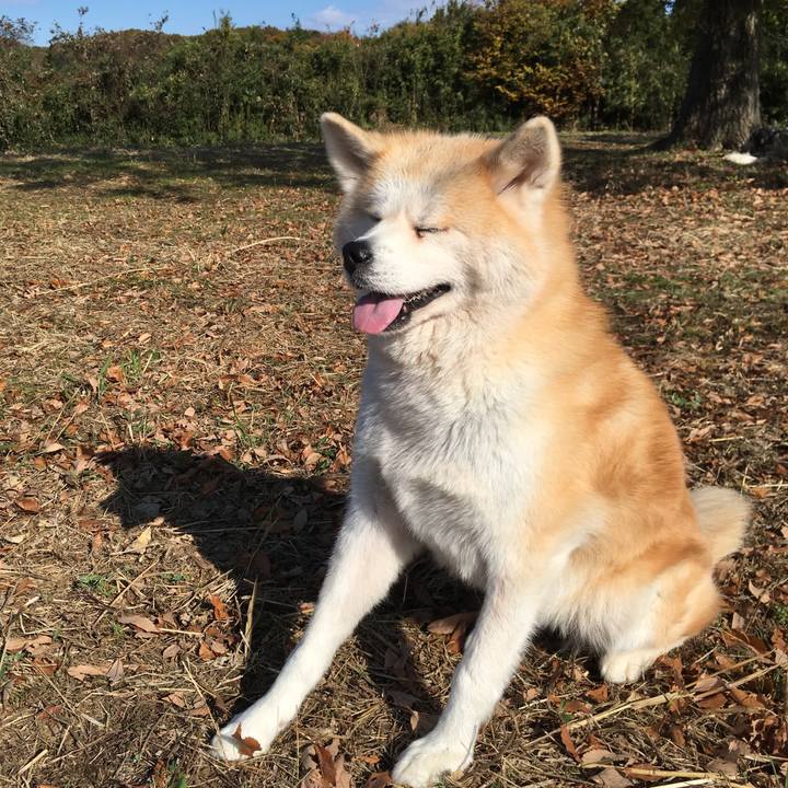 Ed3a6f22 2215 48fc bedc c97eedd8751a