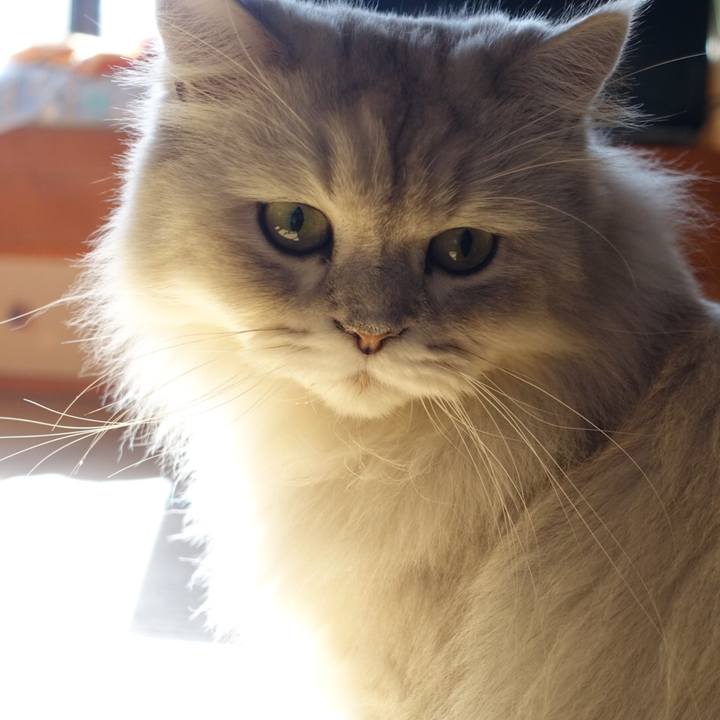 Ed3b41c5 cc43 4801 9eb4 10091add5d61