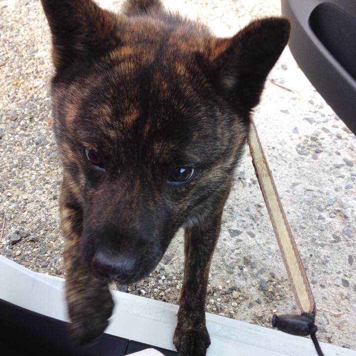 Ed3b5b32 add8 4f2a 9cdf da91826a7f2b