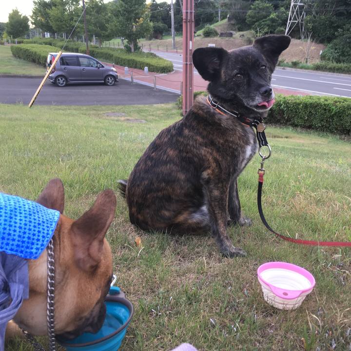 Ed3b901f b879 4504 a92a 433e1ef9135c