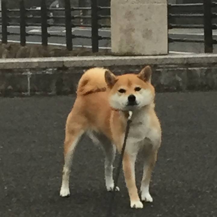 Ed3c33f5 cd41 4500 b87b 32dbfbaa70c4