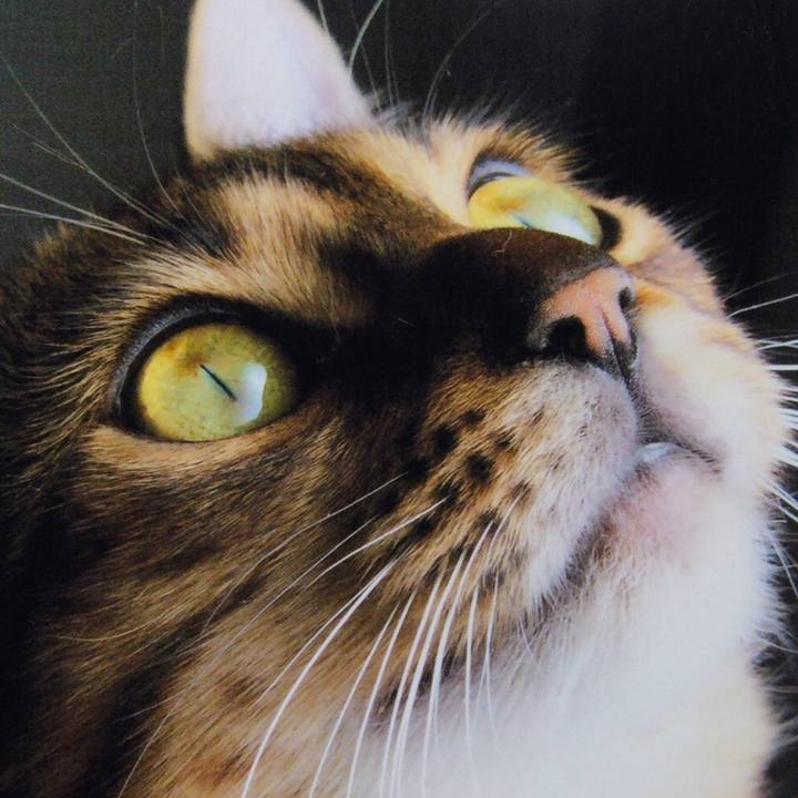 Ed3c5fb1 bfdd 4008 87b8 da2ccff04bb6