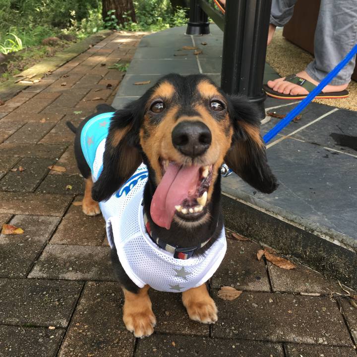 Ed3cbf48 54bd 49fd a536 f44ad3c3921a