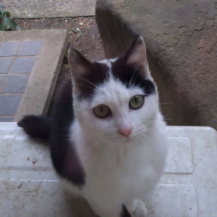 Ed3cc76f ab5e 496f a585 e027edb4eb09