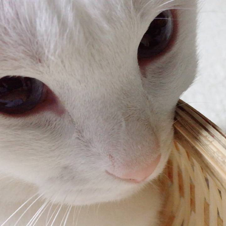 Ed3cda6e 584e 4a16 b709 284e4403114d