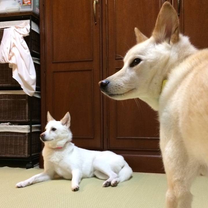 Ed3d9bda 8a8a 4452 b5a2 595139bc6d7d