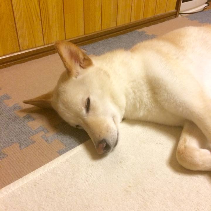 Ed3dfc5d f815 43e6 aace 1f030a6519a4